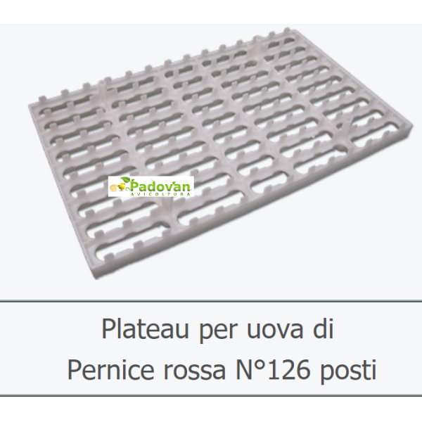 Plato transporte 126 œufs de perdrix rouge professionnels Fiem Victoria