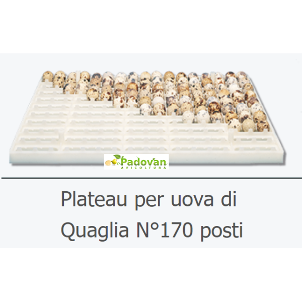 Plato carries 170 Fiem Victoria Professional Partridge Quail Eggs