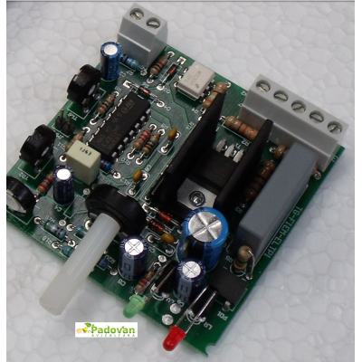 Placa de termostato analógico ELTP1 Fiem original + sonda