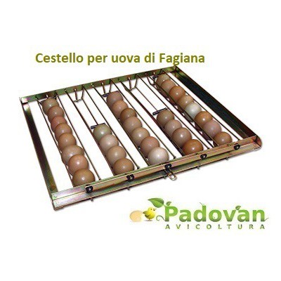 FIEM MG70/100 Family ML Advanced Inkubator GRATIS Luftbefeuchter