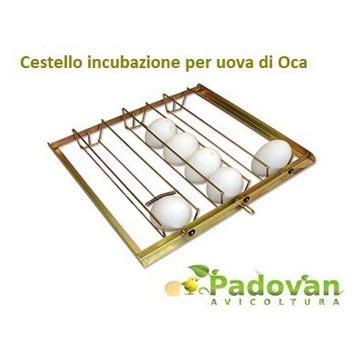 Incubadora avanzada FIEM MG70/100 Family ML con humidificador GRATIS