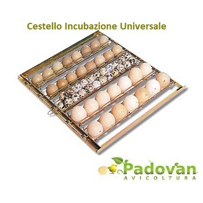 Incubadora avanzada FIEM MG70/100 Family ML con humidificador GRATIS