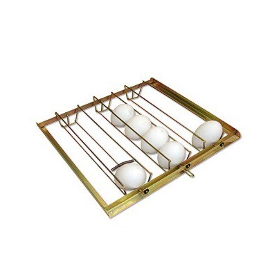 Incubadora Fiem MG100/150 con humidificador automático gratuito