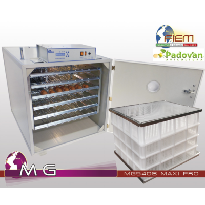 Fiem MG650 Maxi Pro Lcd Evo Plus steel incubator with automatic humidifier