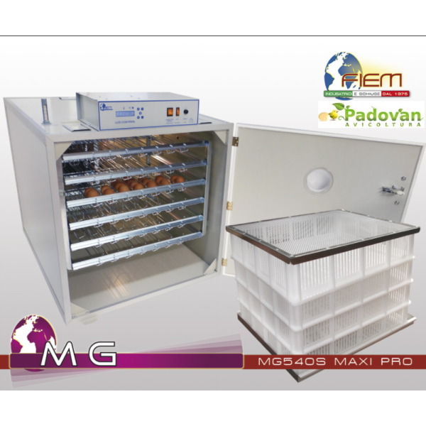 Fiem MG650 Maxi Pro Lcd Evo Plus steel incubator with automatic humidifier