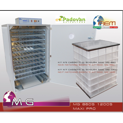 Incubateur Fiem MG1200S Maxi Pro LCD Evo Plus avec humidificateur automatique