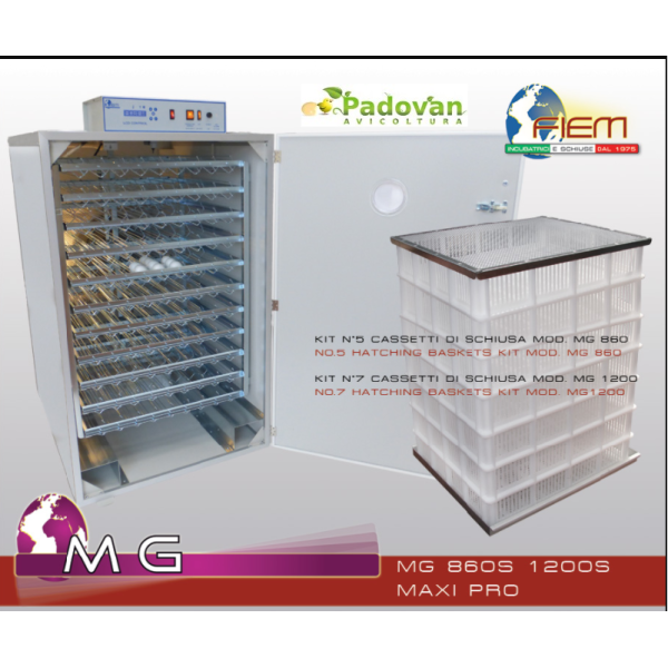 Incubateur Fiem MG1200S Maxi Pro LCD Evo Plus avec humidificateur automatique