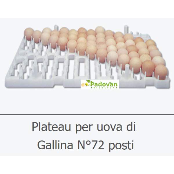 Escalfador de huevos Fiem Victoria Professional 72