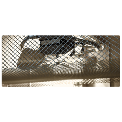 FIEM Cosmo 72 MINILCD Incubator Made in Italy