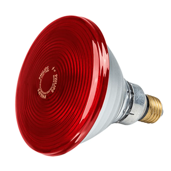 Lampada Philips a Raggi Infrarossi 240V PAR38 IR RED 100 WATT Fiem