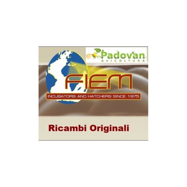 Tubo collegamento tanica-galleggiante Fiem mt. 1.5