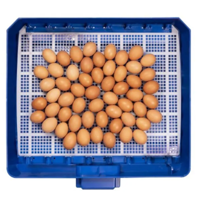 Incubateur professionnel LUMIA 56 en ABS thermo-isolant avec BIOMASTER