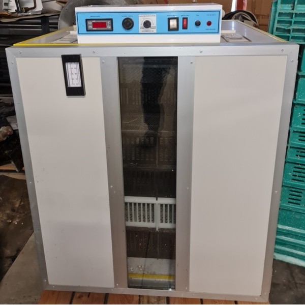 Victoria H6 schlüpft aus 900 Eiern