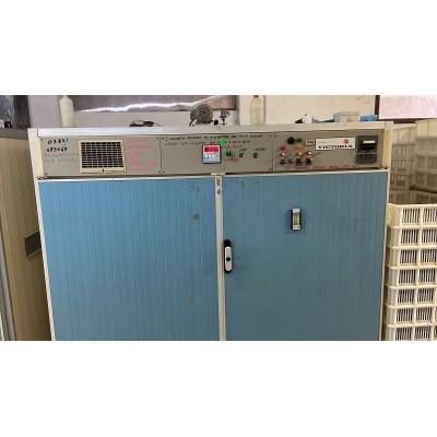 Used Victoria I36 incubator with 5,184 eggs