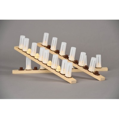 Incubateur d'abeilles avancé FIEM A-100 Mini LED pour 300 cellules