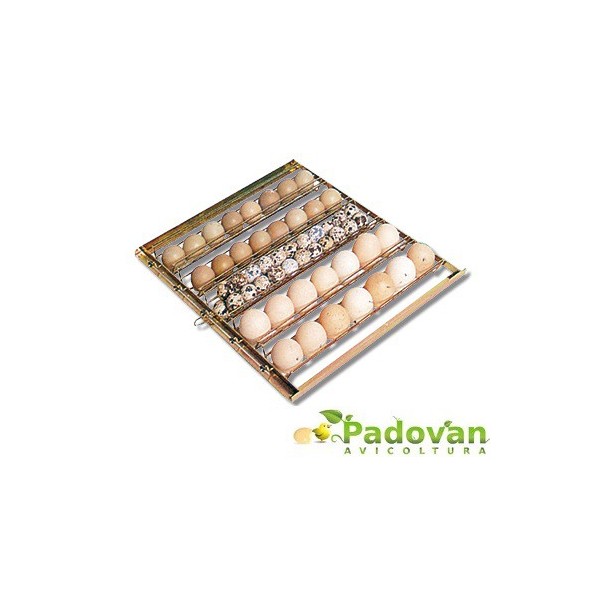 CESTA DE INCUBACIÓN UNIVERSAL 43x58 cm MG320 Maxi Pro