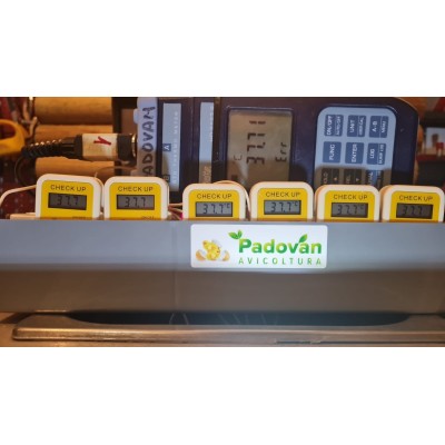 Thermomètre numérique FIEM Check Up + guide gratuit sur l'avicoltura de Padoue