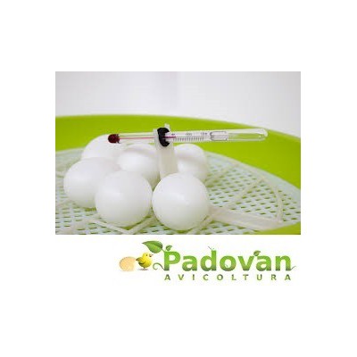 Incubadora digital inteligente FIEM para 24 huevos + humidificador semiautomático