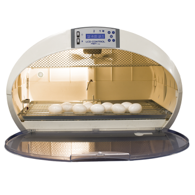 Incubateur FIEM Cosmo LCD Evo Plus REP (Reptiles, Tortues, Caméléons) + cadeau gratuit