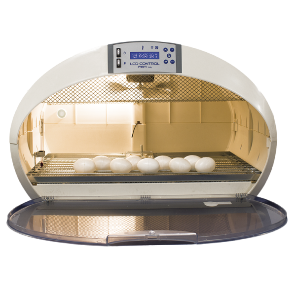 Incubatrice FIEM Cosmo Lcd Evo Plus REP (Rettili, Tartarughe, Camaleonti) + omaggio