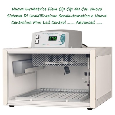 FIEM Cip Cip 40 Mini LCD Digital Automatic Egg Incubator