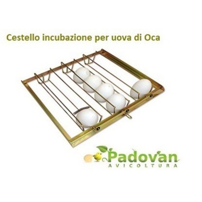 Incubadora Fiem MG 140/200 Humidificador automático GRATIS (Carga única)