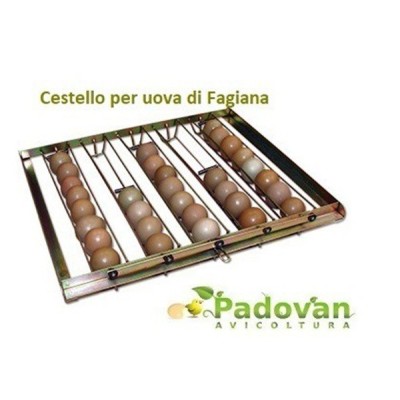 Fiem Mg 320 Maxi Pro Automatic Egg Incubator