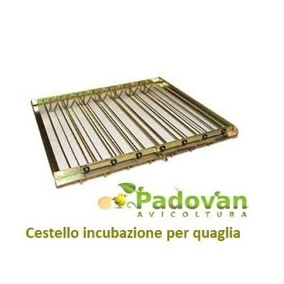 Fiem Mg 320 Maxi Pro Automatic Egg Incubator