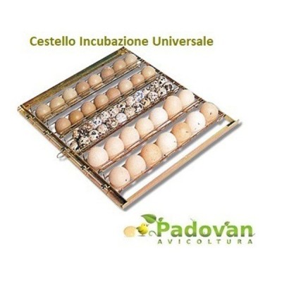 Incubadora de huevos automática Fiem Mg 320 Maxi Pro