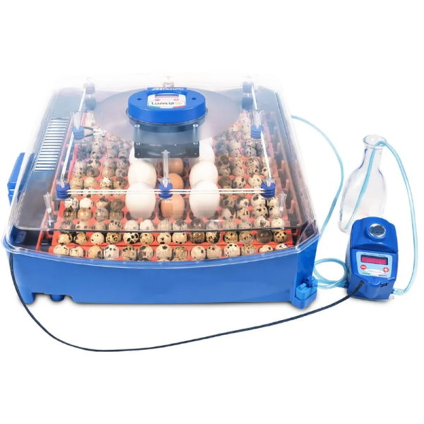 INCUBATRICE USATA BOROTTO CON 23 MESI DI GARANZIA LUMIA 56 EXPERT PROFESSIONALE in ABS TERMOISOLANTE con BIOMASTER