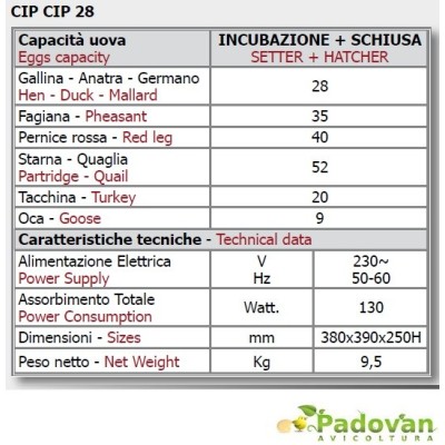 Incubadora Fiem Cip Cip 28 Miniled, modelo 2024