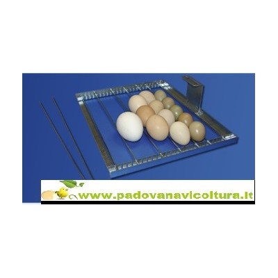 Incubadora Fiem Cip Cip 40 Miniled Modelo 2024