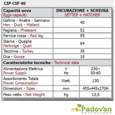 Fiem Cip Cip 40 Miniled Incubator Model 2024