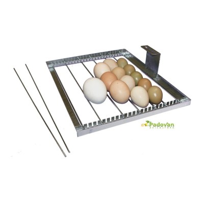 Fiem Cip Cip 40 Miniled Incubator Model 2024