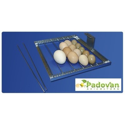 Incubadora Fiem Cip Cip 40 Miniled Modelo 2024