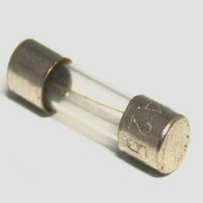 Fusible de vidrio de 2 amperios para incubadoras Fiem