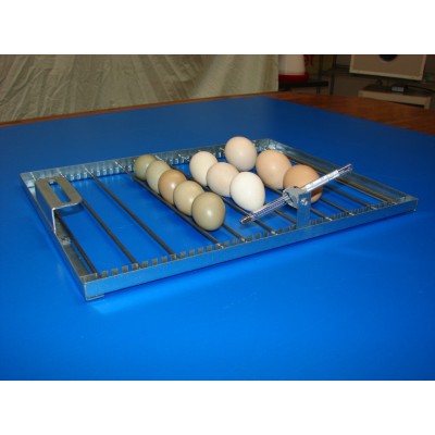 FIEM Inca 45 Mini LCD Digital Automatic Egg Incubator