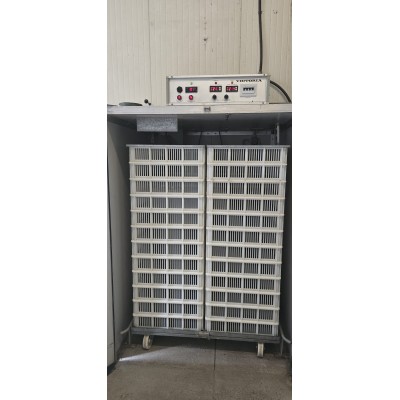 Schiusa Victoria H24 usata disponibile a Ravenna. Capacità 3500 uova gallina, carrello estraibile, ventilazione forzata e contro