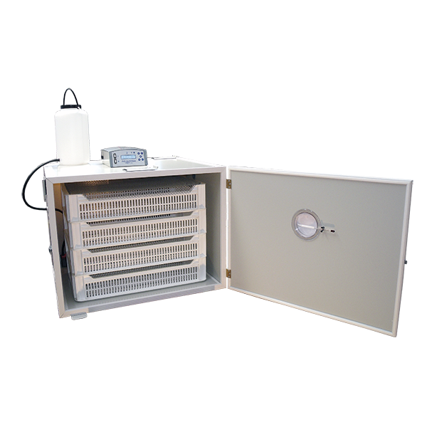 FIEM MG316H LCD Evo Plus Steel Hatching Machine