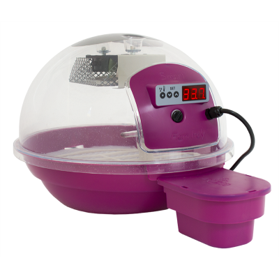 Incubadora automática digital FIEM Smart Bird de 24 horas con lectura de humedad
