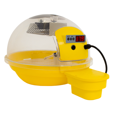 Incubateur automatique numérique FIEM Smart Bird 24 heures avec mesure de l'humidité