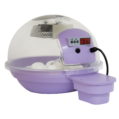 Incubateur automatique numérique FIEM Smart Bird 24 heures avec mesure de l'humidité