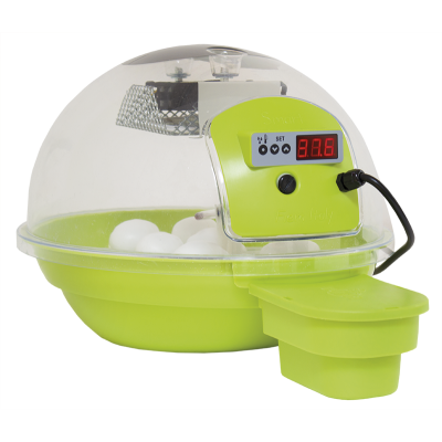 Incubateur automatique numérique FIEM Smart Bird 24 heures avec mesure de l'humidité