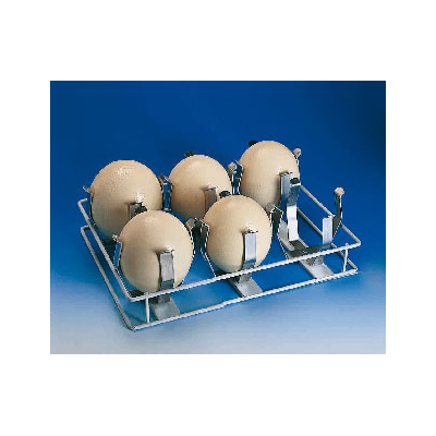 Bandeja para huevos de avestruz FIEM , 6 unidades