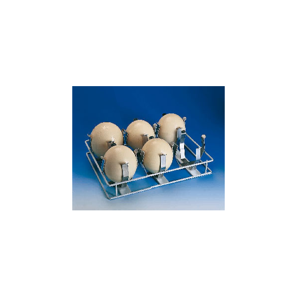 FIEM Ostrich Egg Tray, 6 places