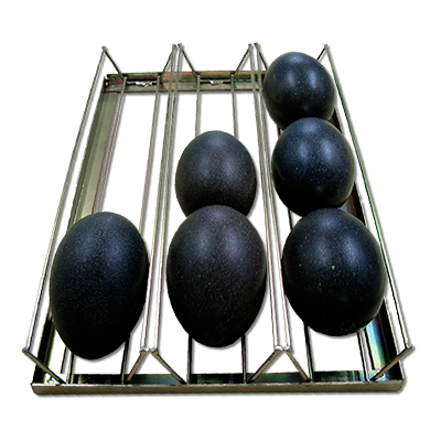 Plateau Egg Holder Emu or Nandu FIEM