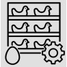 Installations industrielles pour poules pondeuses – Solutions professionnelles